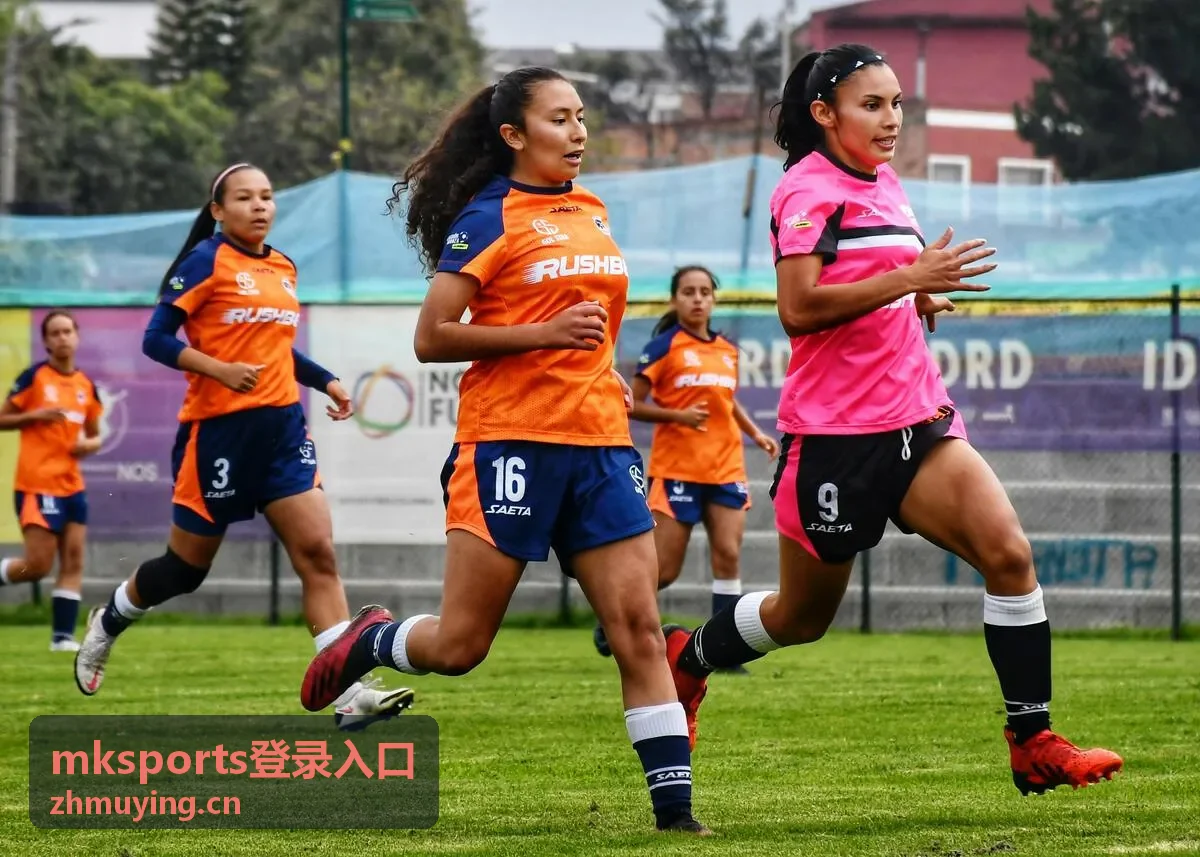 mksports账户安全验证指南